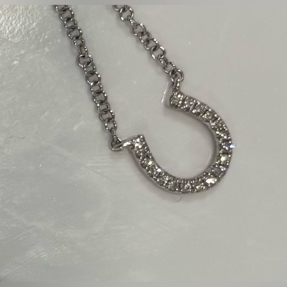 Elegant Silver Necklace with Diamond Horseshoe Pendant